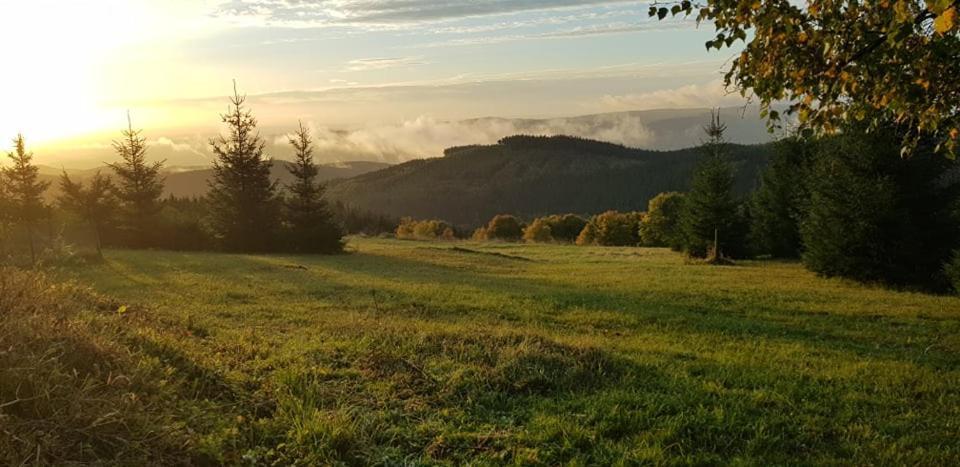 Chata Jeleni Drevenice S Vlastni Virivkou Horni Halze 外观 照片
