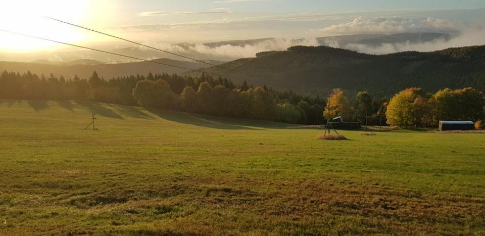 Chata Jeleni Drevenice S Vlastni Virivkou Horni Halze 外观 照片